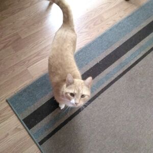 Meet your Posher, Christina